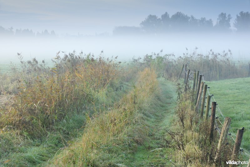 Natuurgebied Weijmeerbroek