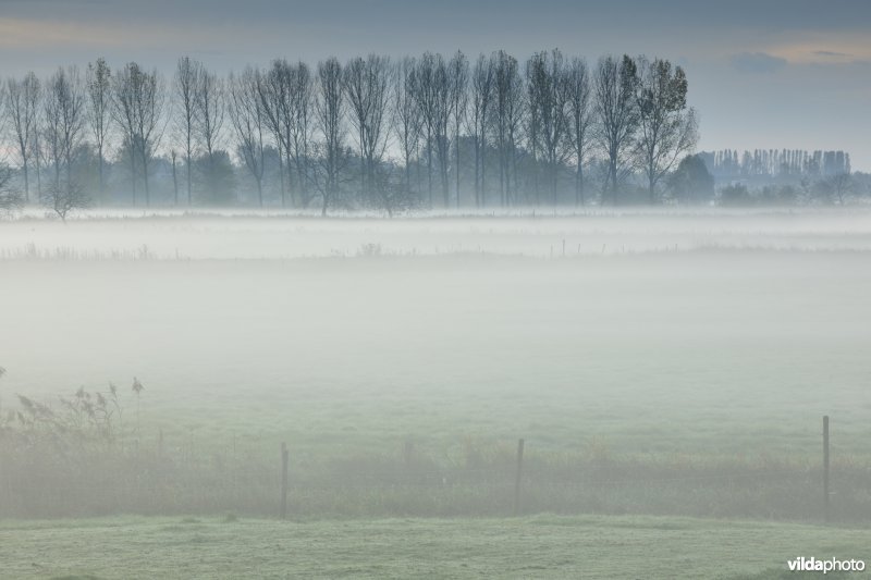 Natuurgebied Weijmeerbroek