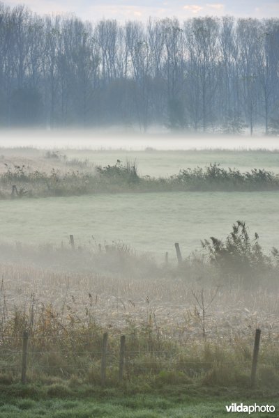 Natuurgebied Weijmeerbroek