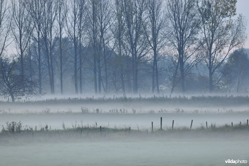 Natuurgebied Weijmeerbroek