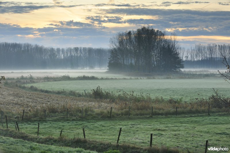 Natuurgebied Weijmeerbroek