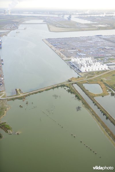 Natuurreservaat Verrebroekse Plassen