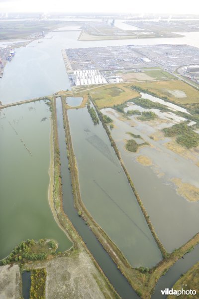 Natuurreservaat Verrebroekse Plassen