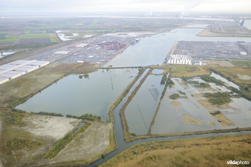 Natuurreservaat Verrebroekse Plassen