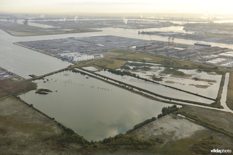 Natuurreservaat Verrebroekse Plassen