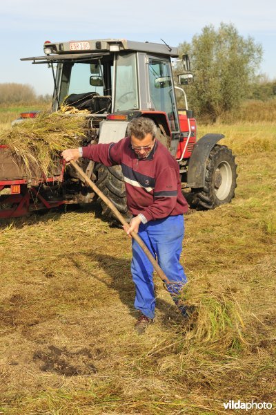 Hagenmeersen in de Durmevallei