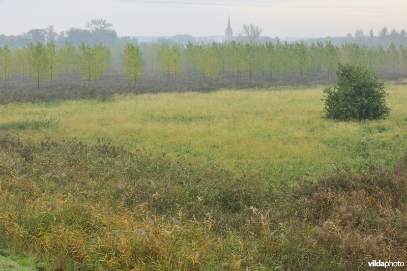 Grote Vijver deel 1 in het Zennegat