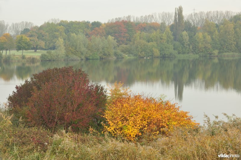 Grote Vijver deel 2 in het Zennegat
