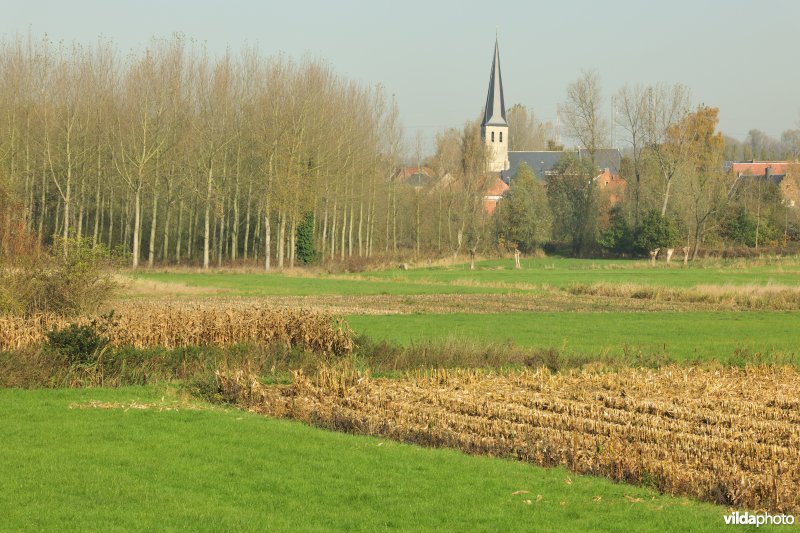 Groot-Broek