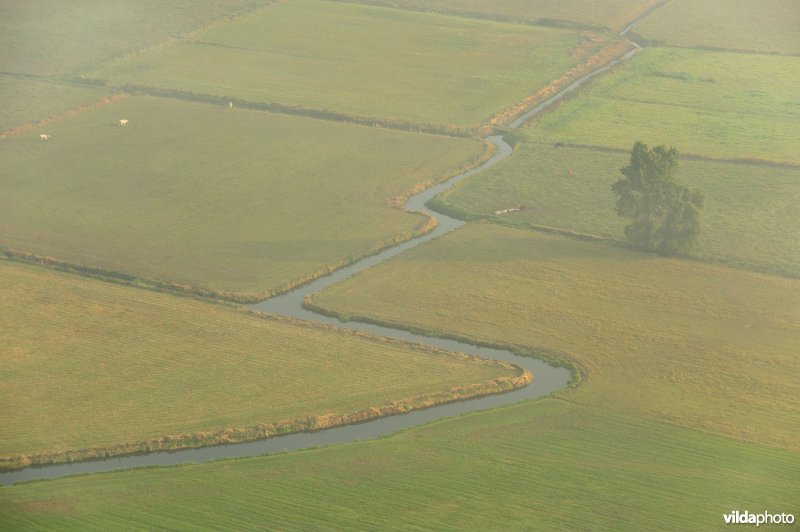 Zijdelingsgeleed
