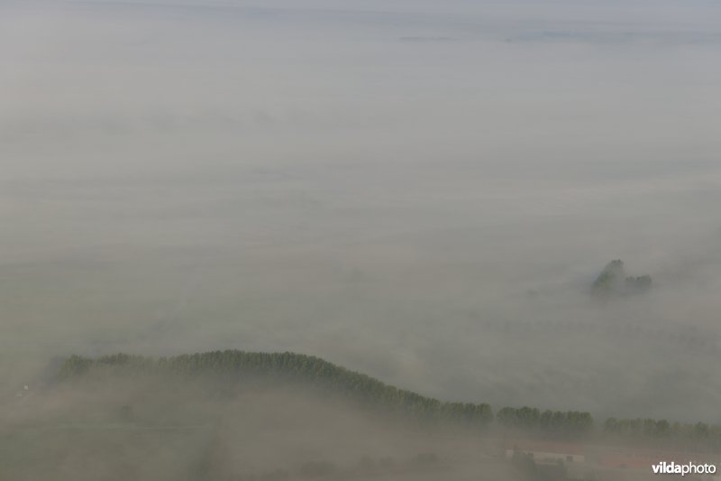 IJzerbroeken in de ochtendnevel