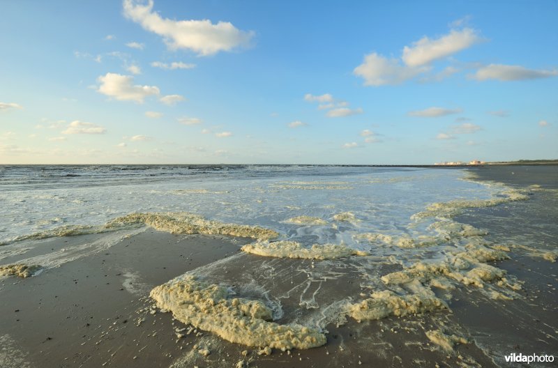 Noordzeestrand