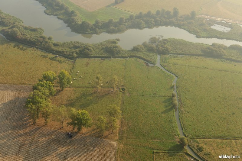 Natuurreservaat De Blankaart