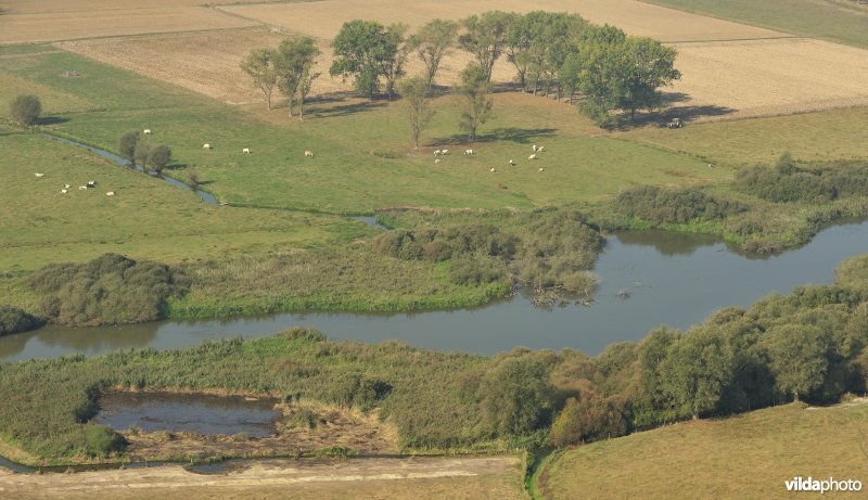 Natuurreservaat De Blankaart