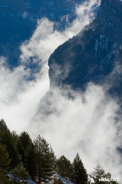 Landschap in de Pyreneeën