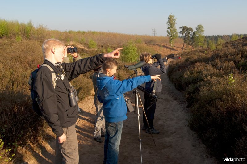 Wandelaars op de Sallandse Heuvelrug