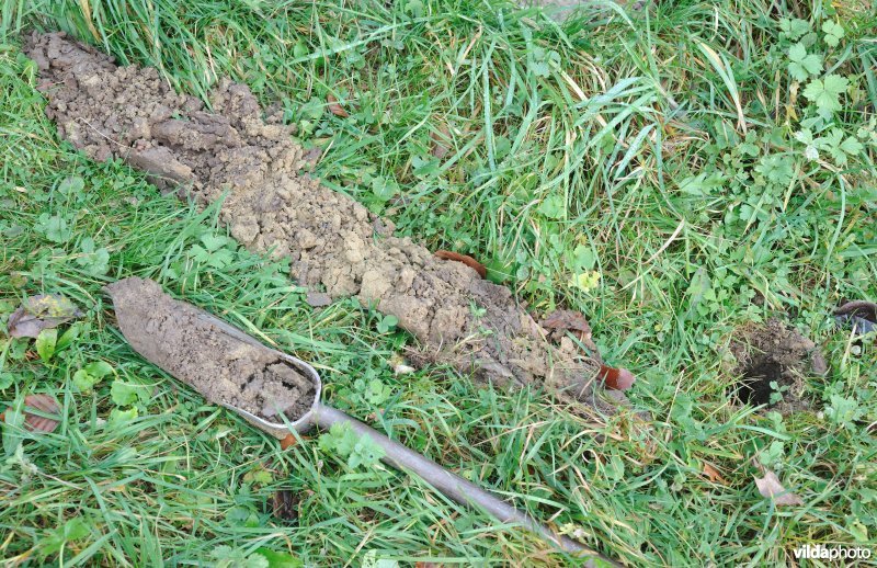 Bodemonderzoek met grondboor