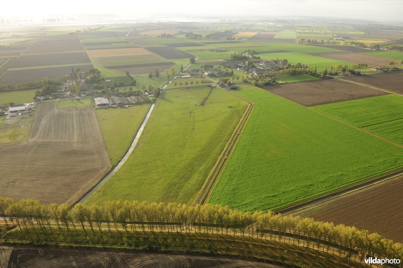 Zeedijk van de Prosperpolder
