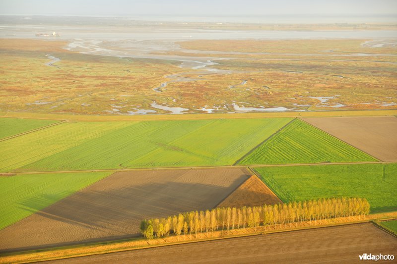 Zeedijk van de Prosperpolder en Verdronken Land van Saeftinge