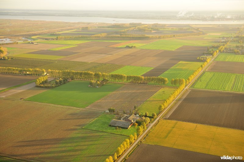 Langestraat in de Prosperpolder