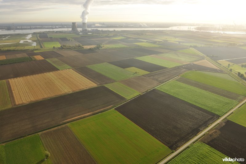 Akkerland in de Doelpolder