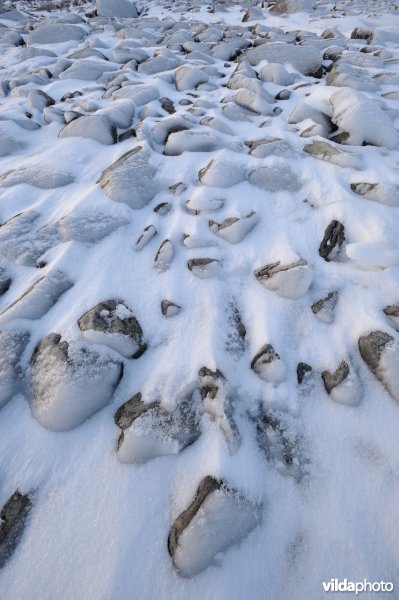Bevroren oever in Lapland