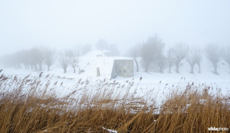 Fort Sabina