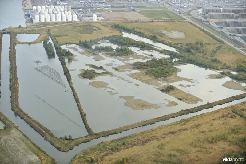 Natuurreservaat Verrebroekse Plassen