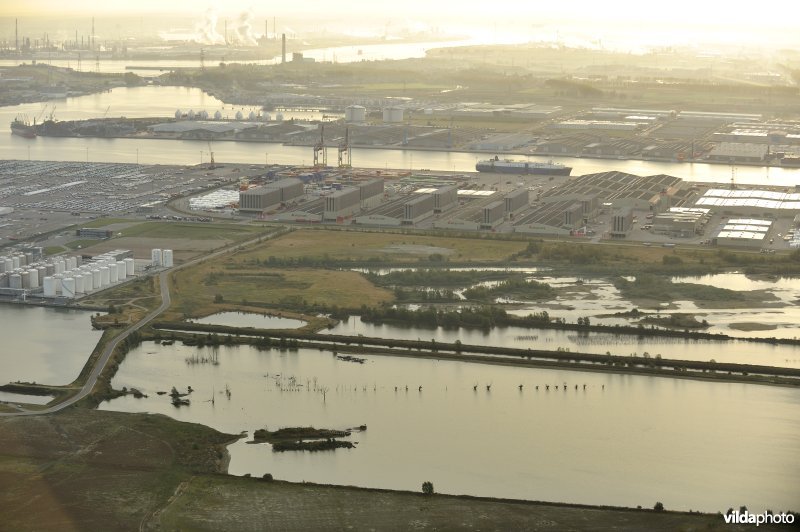 Natuurreservaat Verrebroekse Plassen