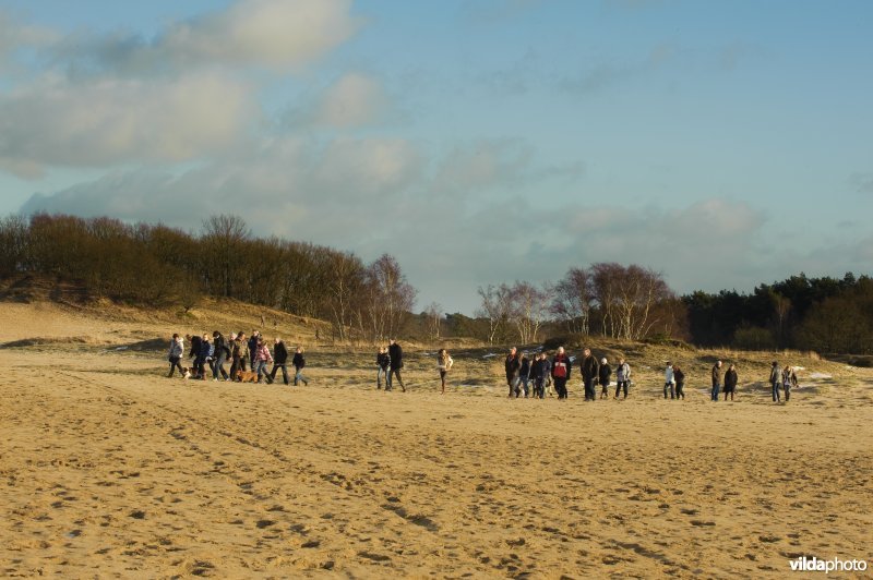 Recreanten wandelen door zandverstuivingslandschap in de Loonse en Drunense Duinen
