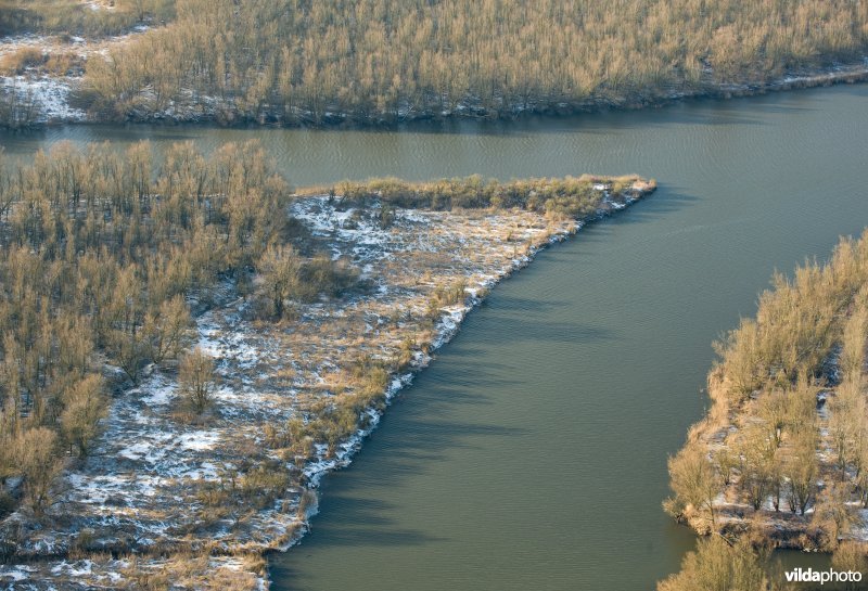 De Biesbosch