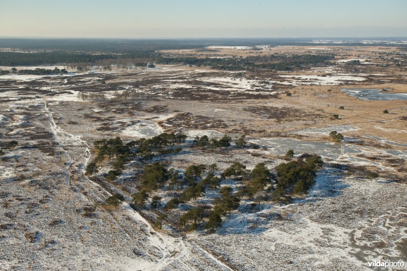 Luchtfoto van de Kalmthoutse Heide