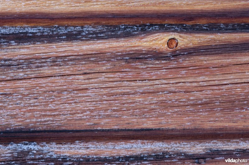 Detail van houten deur