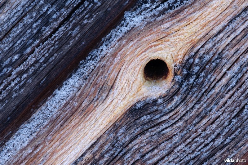 Detail van houten deur