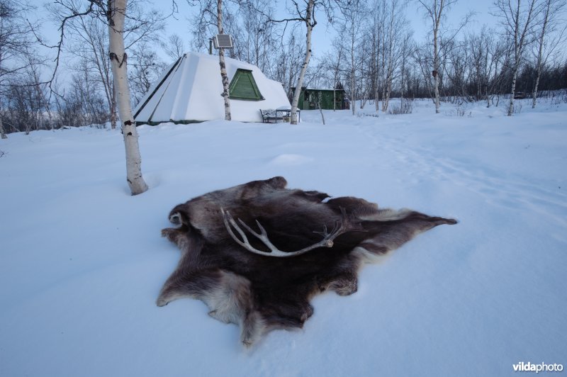 Zomerhut in Lapland