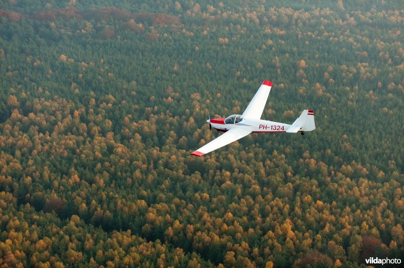 Vliegtuigje boven bos