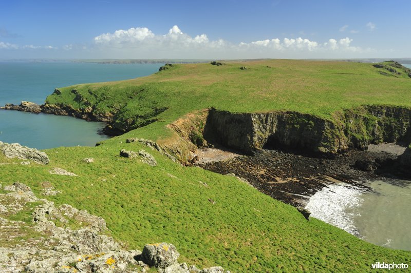 Skomer