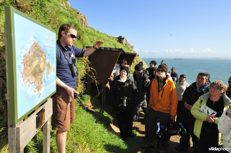 Skomer