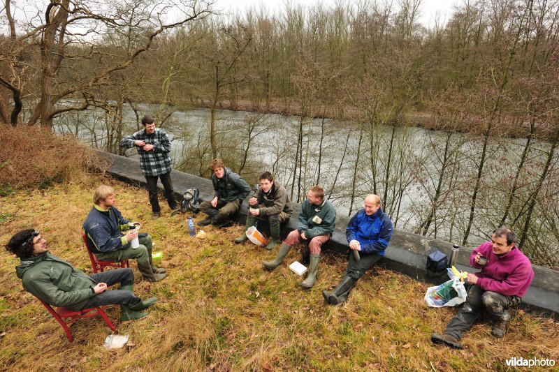 Vleermuizen tellen in het Fort van Oelegem