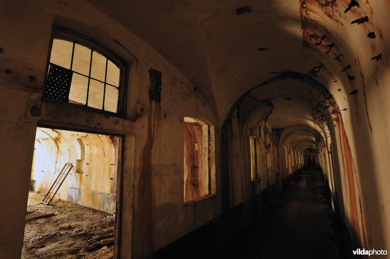 Fort Oelegem