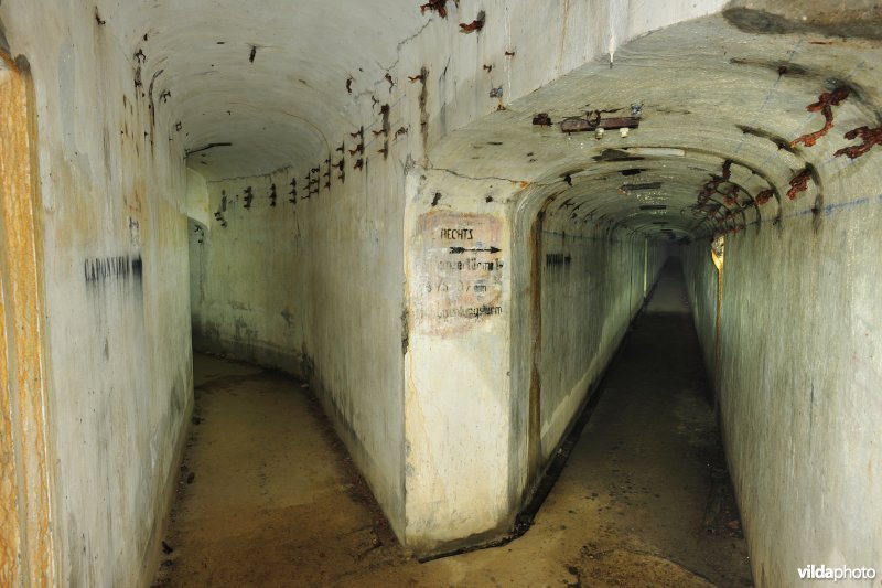 Fort Oelegem