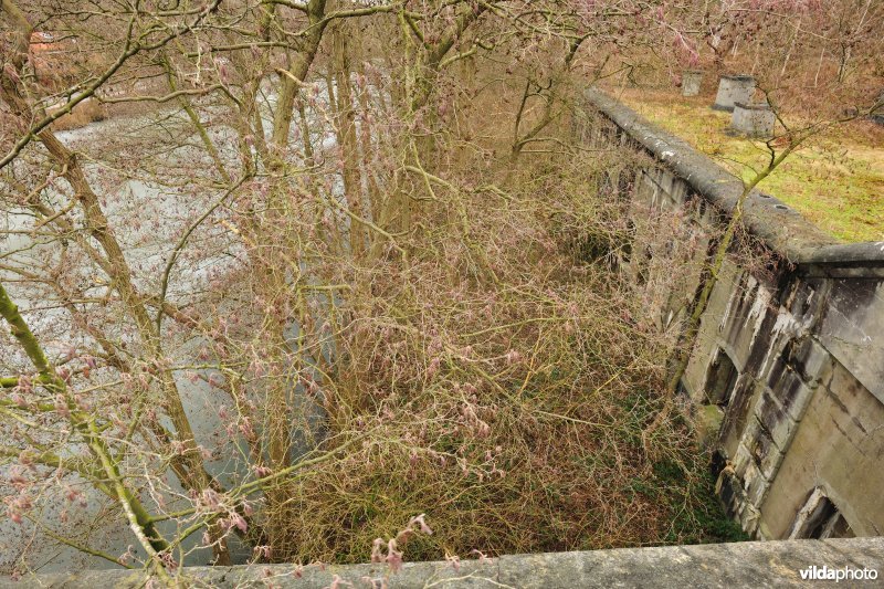 Fort Oelegem