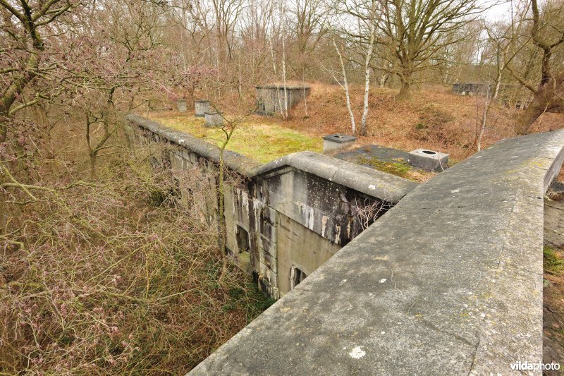 Fort Oelegem