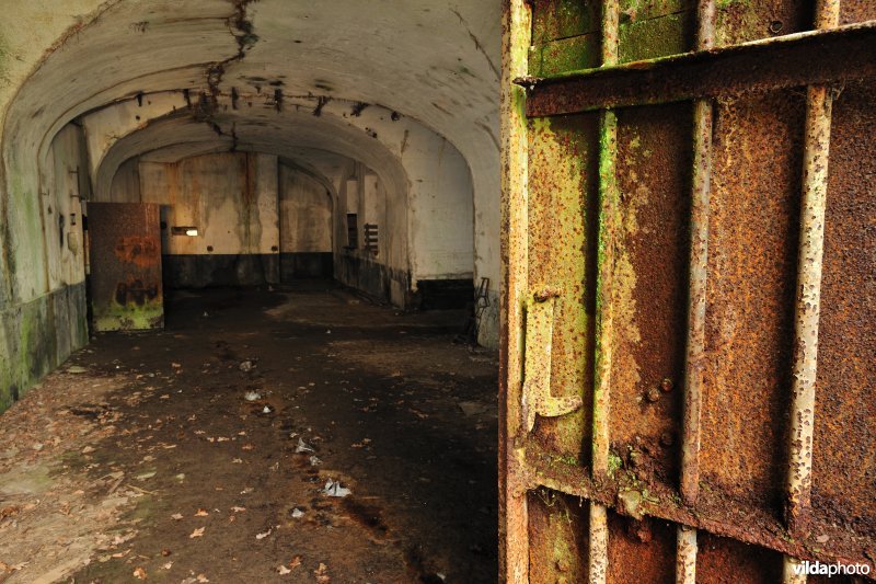 Fort Oelegem