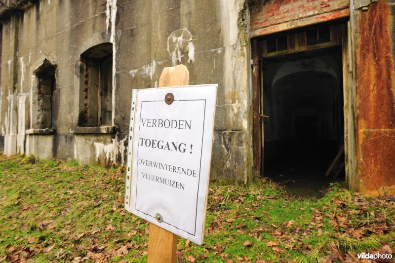 Fort Oelegem