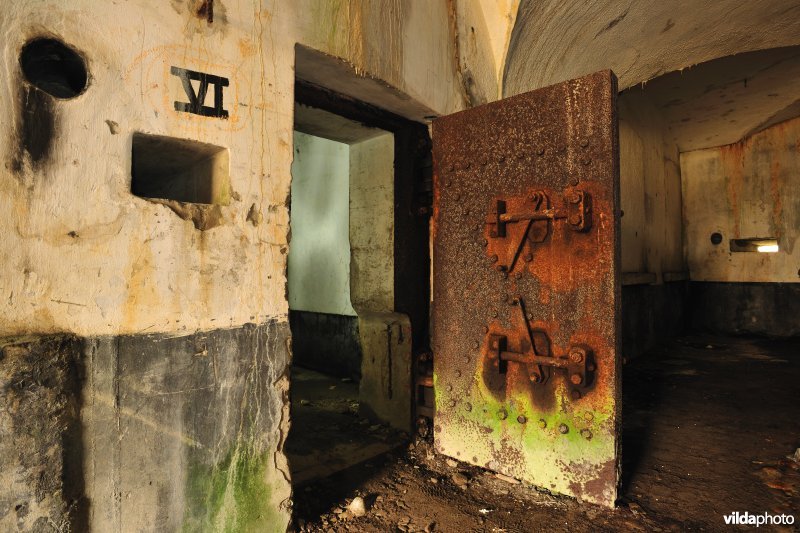 Fort Oelegem