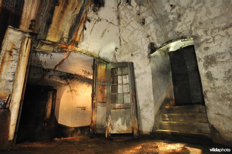 Fort Oelegem