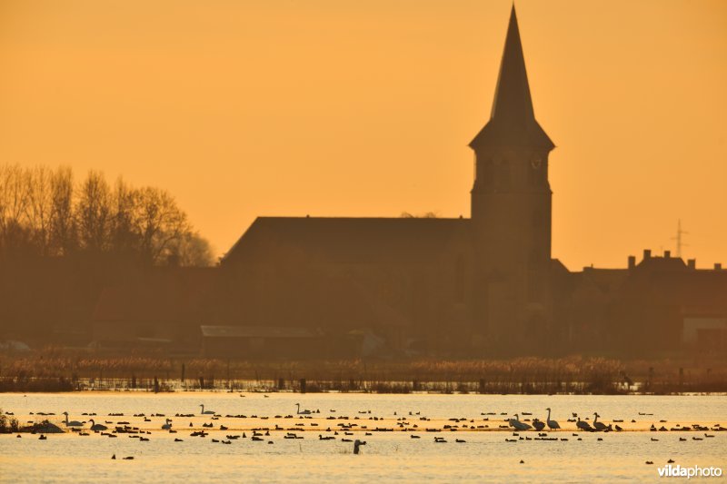 Overstroomde Westbroeken
