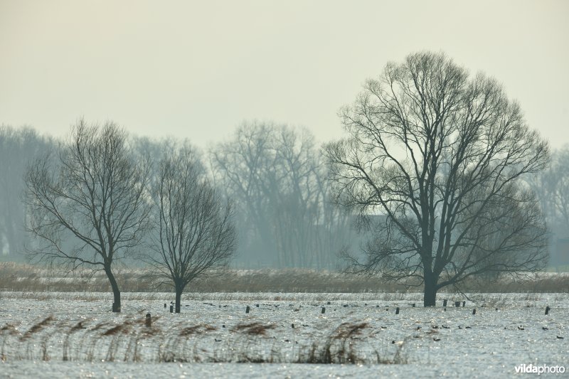 Overstroomde Woumenbroeken