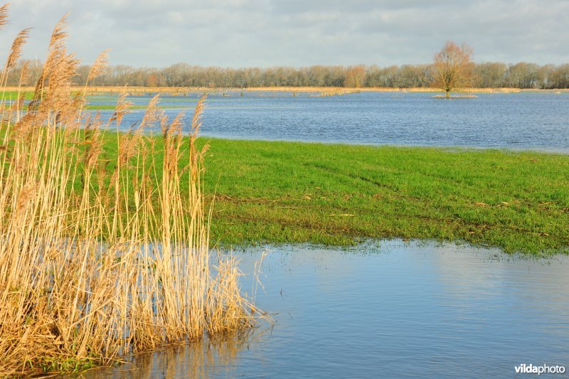 Overstroomde Noordschotebroek